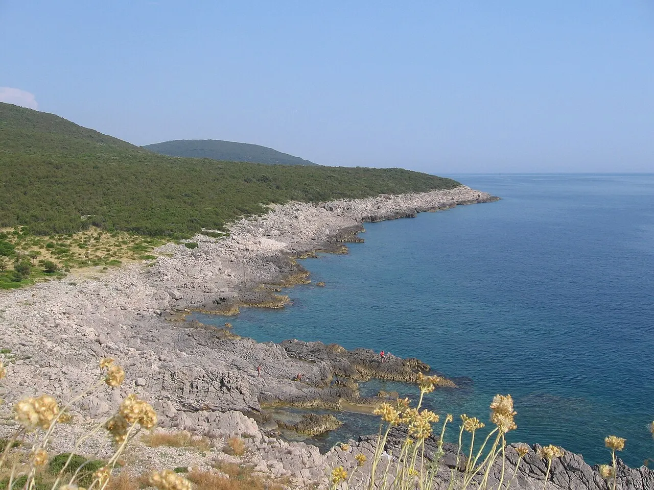 The open seaward coast of the Luštica peninsula, pale rocky cliffs dropping into bright blue open sea near the bay mouth