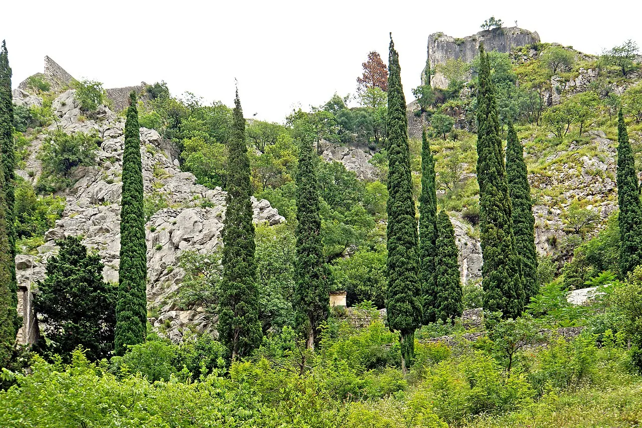 Kotor's city walls climbing the cliff above the Old Town's terracotta roofs, the bay below