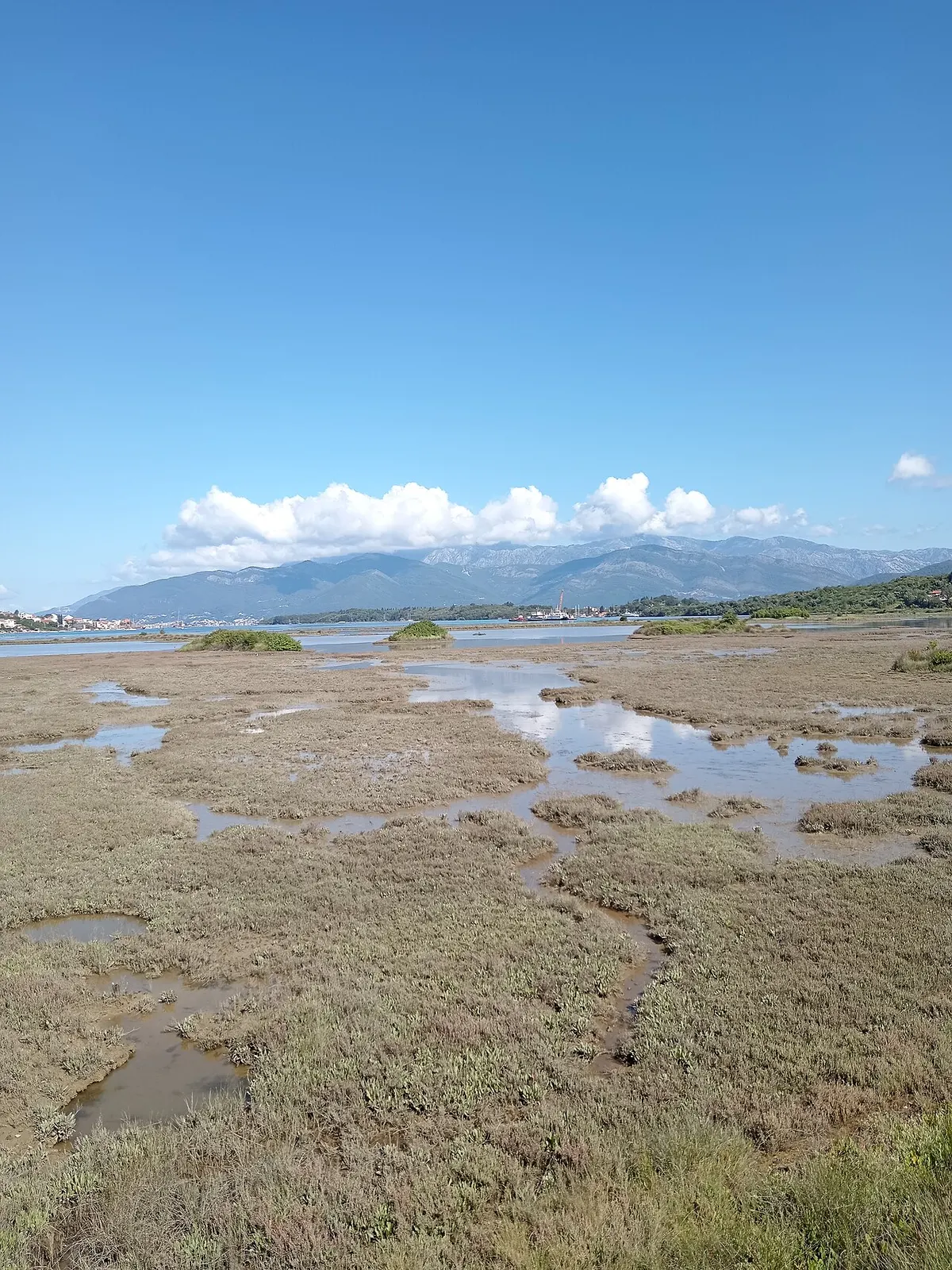 The green wetland and salt pans beside Tivat, a natural contrast to the marina, bay and mountains beyond