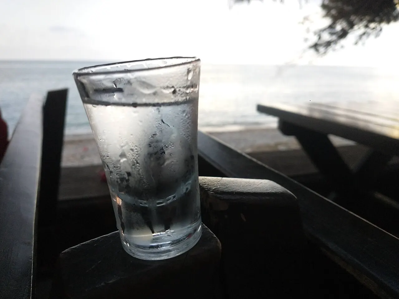 A glass of homemade rakija served in a Montenegrin restaurant